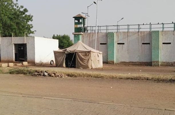 مليشيا الدعم السريع تجبر المعتقلين بنيالا على المشاركة في معارك الفاشر