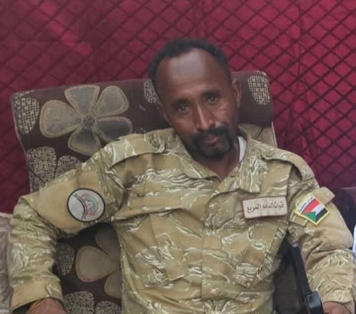 مقتل 6 أفراد وضابط من مليشيا الدعم السريع في نيالا إثر محاولة نهب