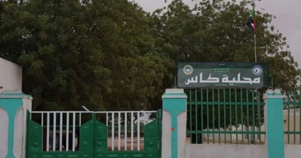 مليشيا الدعم السريع تجنّد أبناء قبيلة الفور قسرًا بجنوب دارفور