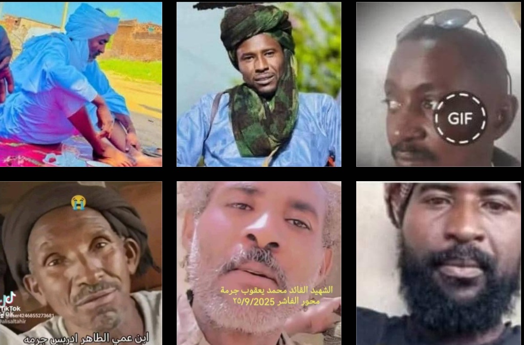 سلاح الجو السوداني ينجح في استهداف تجمع قيادي للمليشيا بمحور الفاشر الجنوبي