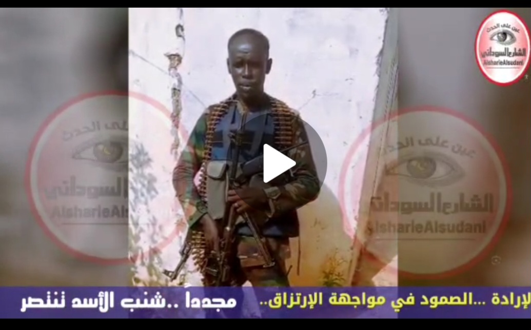 العزيمة …الإرادة..الصمود في مواجهة الإرتزاق: مجدداً مدينة الفاشر شنب الأسد تنتصر